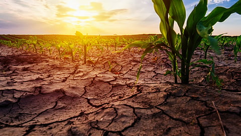 Climate Change