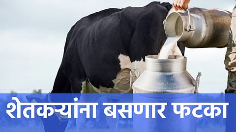 Cow Milk Price