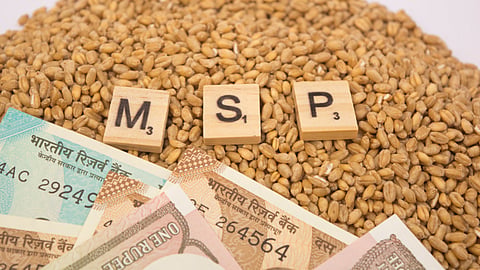 MSP
