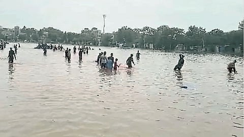 Rain