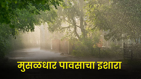 Monsoon Rain 