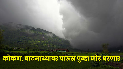 Rain Forecast 