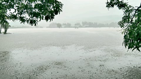 Rain Update
