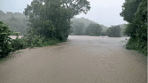 Rain