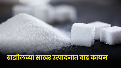 Sugar Production