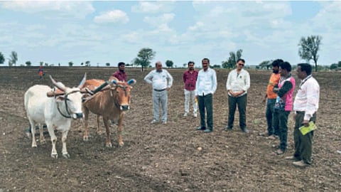 Kharif Season