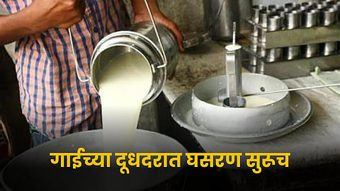 Milk Rate 