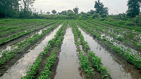 Parbhani Rain