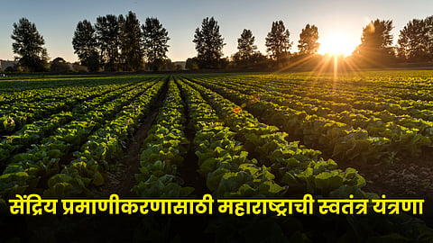 Farming