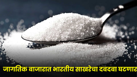 Sugar