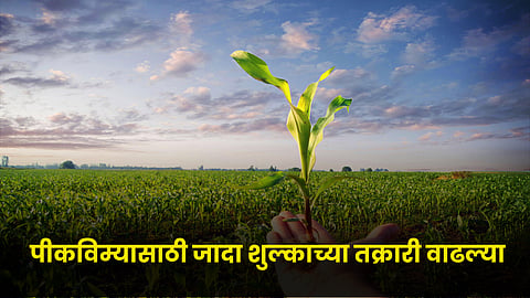 Crop Insurance 
