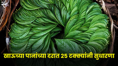 Betel Leaves 