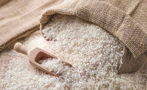 Rice