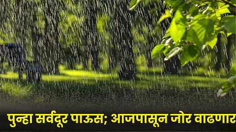 Rain