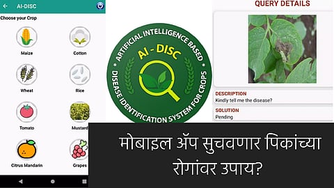 AI-DISC Mobile App