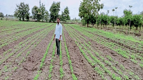 Sowing 
