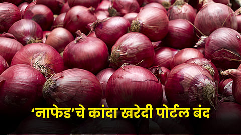 Onion 