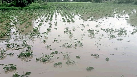 Rain Update 