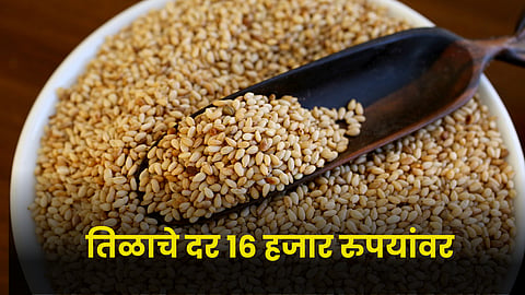 Sesame