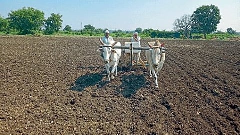 Farming