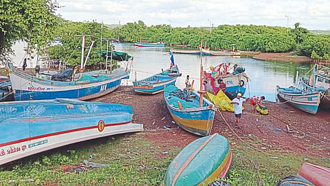 Fishery