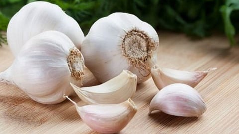 Garlic Rate