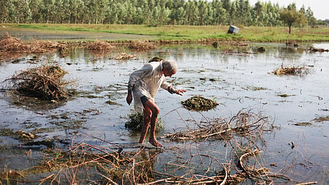 Farmer