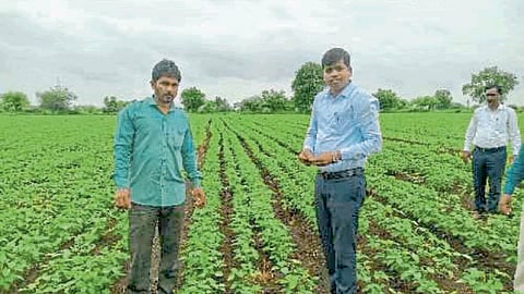 Kharif Seaosn