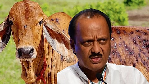ajit pawar