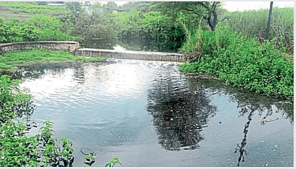 Irrigation