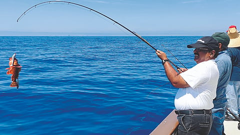 Sports Fishing