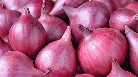 Onion