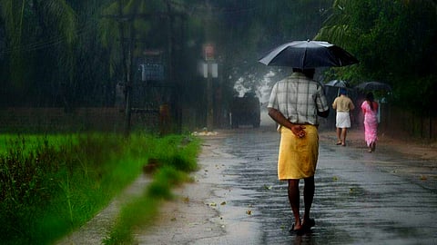 Rain 