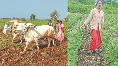 Mahananda Tompe