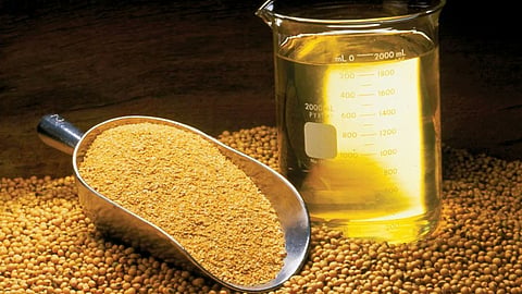 Soybean Oil