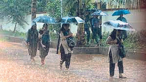 Rain Update