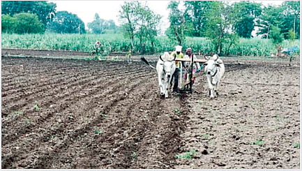 Sowing 