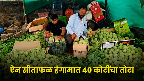 Sitafal Market