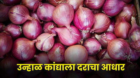 Onion