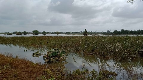 Flood Damage