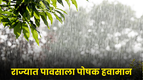 Rain Forecast