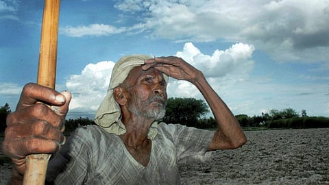 Farmer is worried