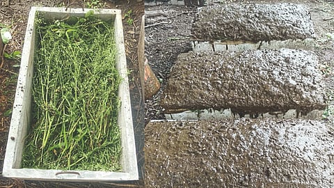 Compost Making