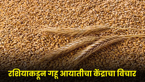 Wheat Import