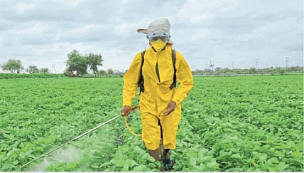 Agriculture Work