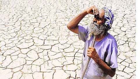 Farmer Waiting For Rain