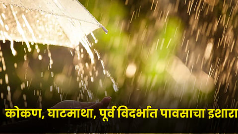 Rain Forecast