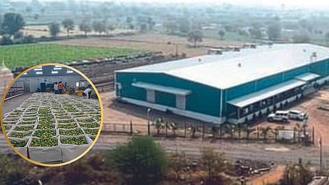 Gitai FPO
