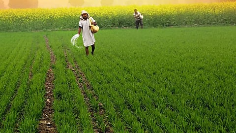 PM Kisan