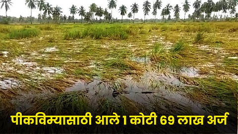 Crop Insurance